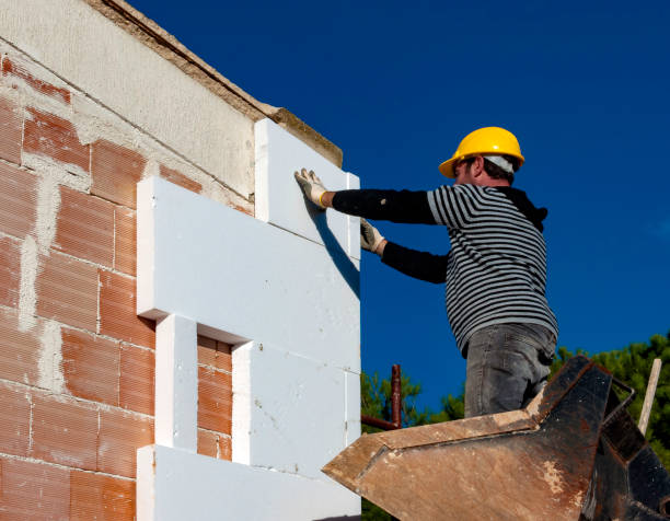 Best Insulation Maintenance and Repair in Amherst, TX