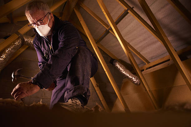 Best Residential Insulation in Amherst, TX